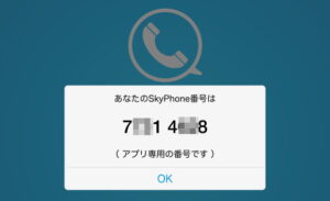 SkyPhone