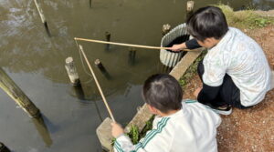 道の駅 くりもと ザリガニ釣り