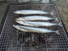 南伊豆 夕日ヶ丘キャンプ場