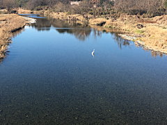 学校橋河原 焚き火オフ