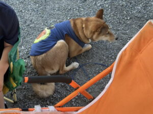 長瀞RVパーク