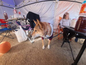 RVパーク CD BASE SANO